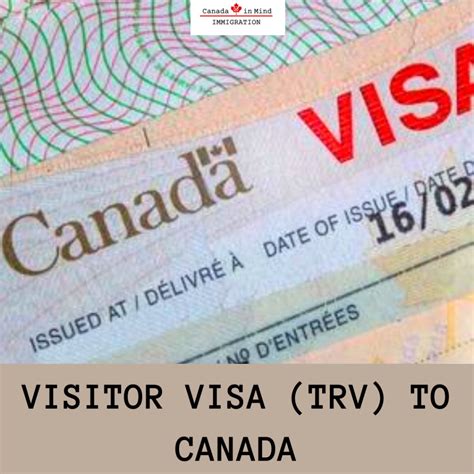 Temporary Visitor Visa .